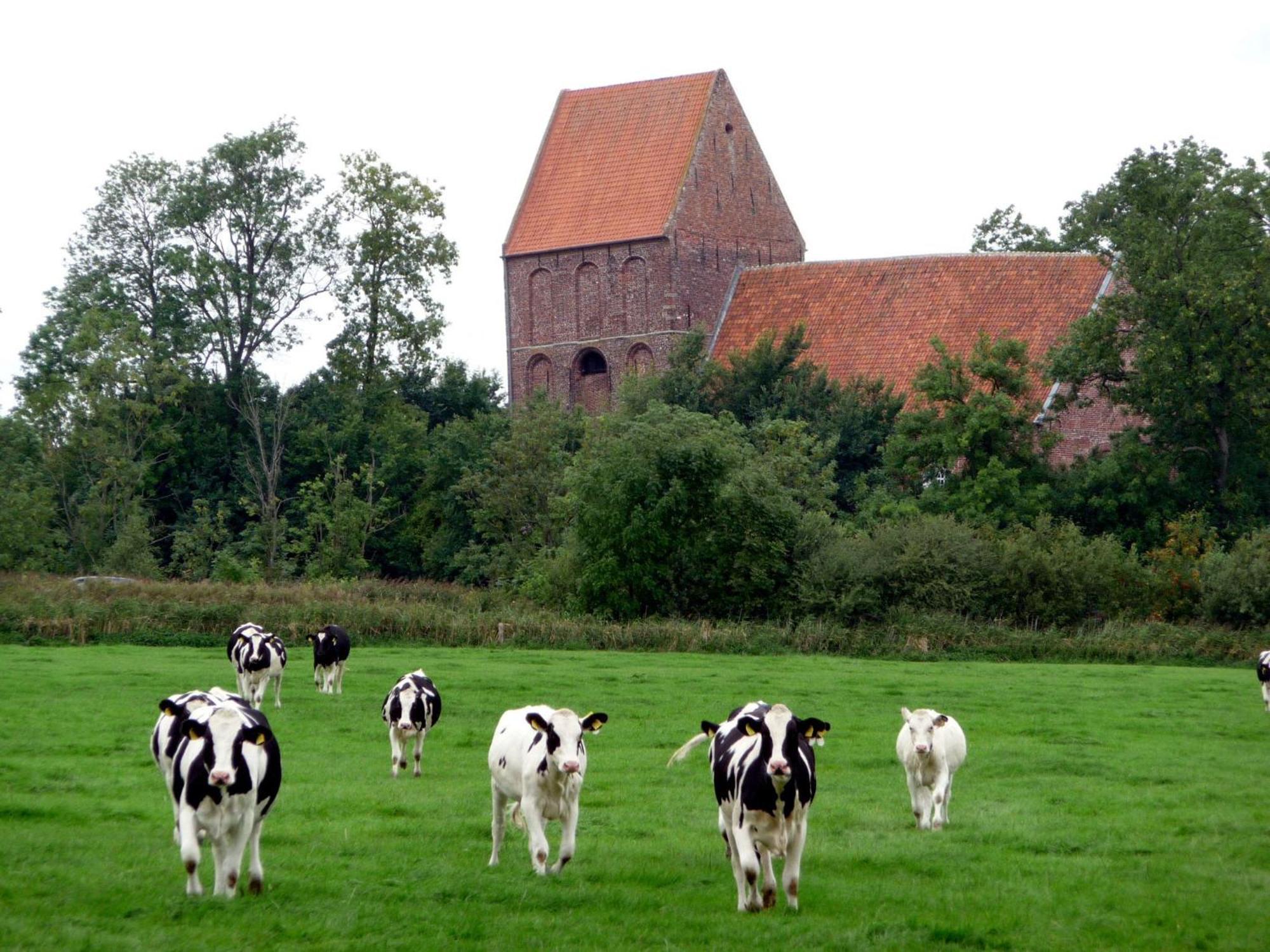 Ferienhaus Ronny Hinte Exterior photo